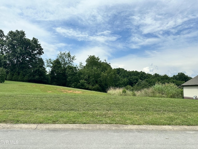 129 Forest Ln, Blountville, TN 37617