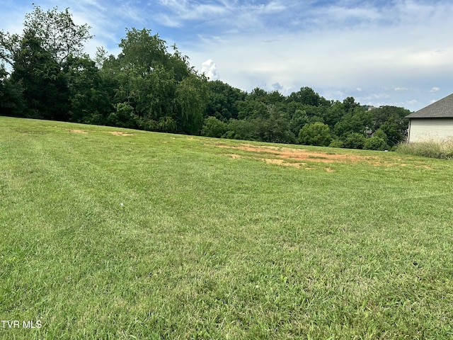 129 Forest Ln, Blountville, TN 37617