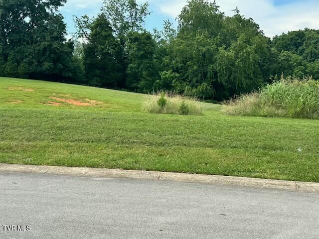 129 Forest Ln, Blountville, TN 37617