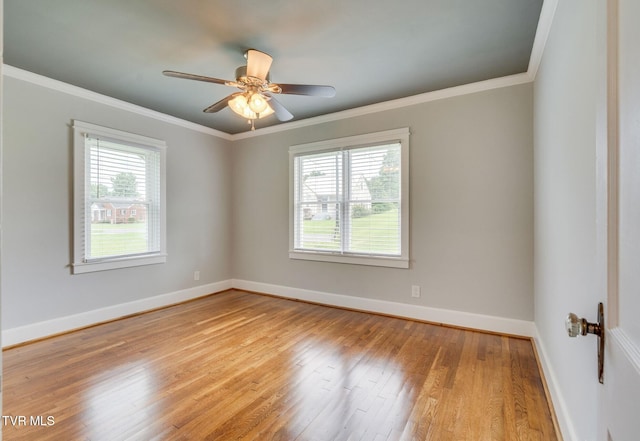 4223 Ivanhoe St, Kingsport, TN 37660 - photo 22