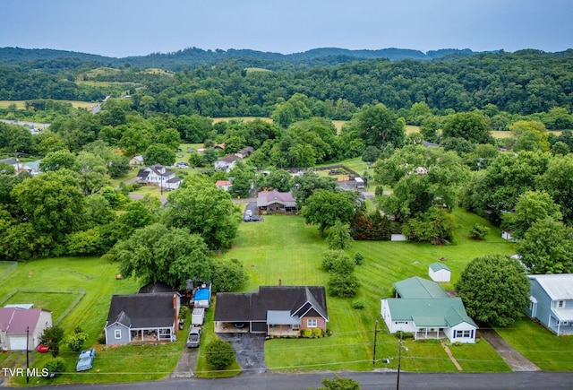 4223 Ivanhoe St, Kingsport, TN 37660 - photo 37