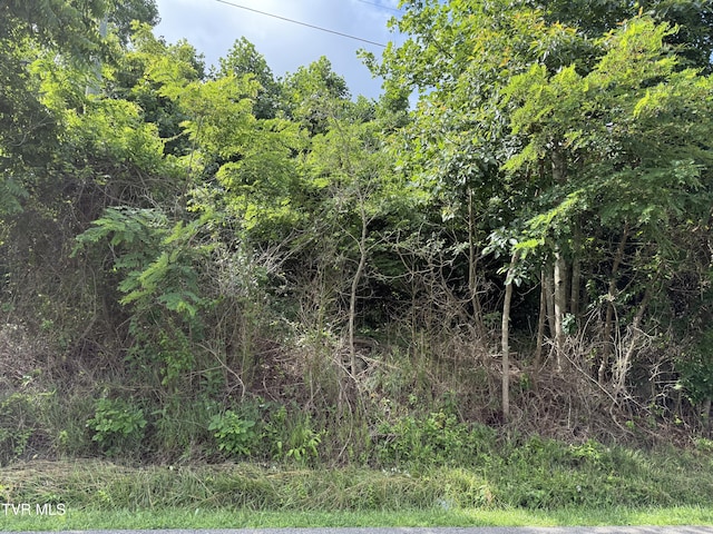 0 Dettor Rd, Bristol, VA 24202