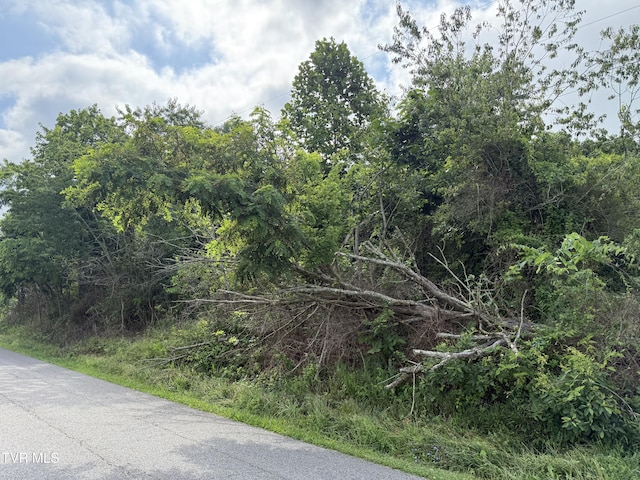 0 Dettor Rd, Bristol, VA 24202