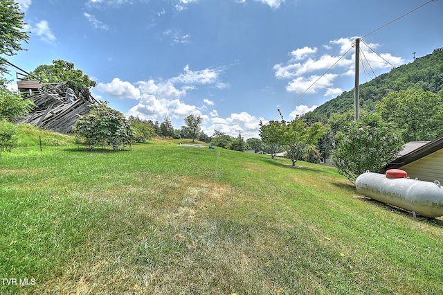 1280 Manville Rd, Gate City, VA 24251 - photo 41