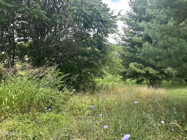 120 Hensley Loop, Jonesborough, TN 37659 - view of local wilderness