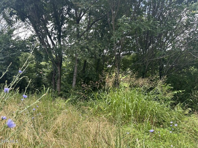 120 Hensley Loop, Jonesborough, TN 37659 - view of nature