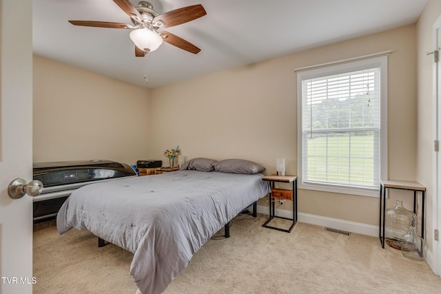 43 Campbell Rash Rd, Elizabethton, TN 37643 - photo 13