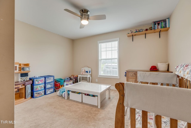 43 Campbell Rash Rd, Elizabethton, TN 37643 - photo 17