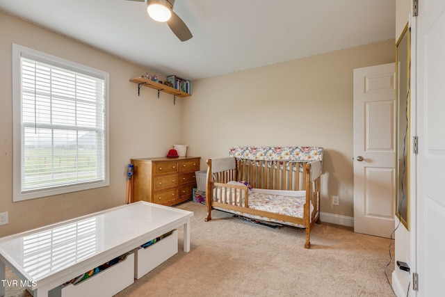 43 Campbell Rash Rd, Elizabethton, TN 37643 - photo 19