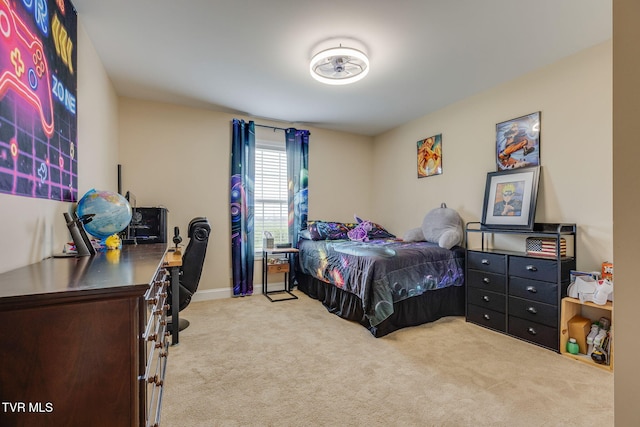 43 Campbell Rash Rd, Elizabethton, TN 37643 - photo 21