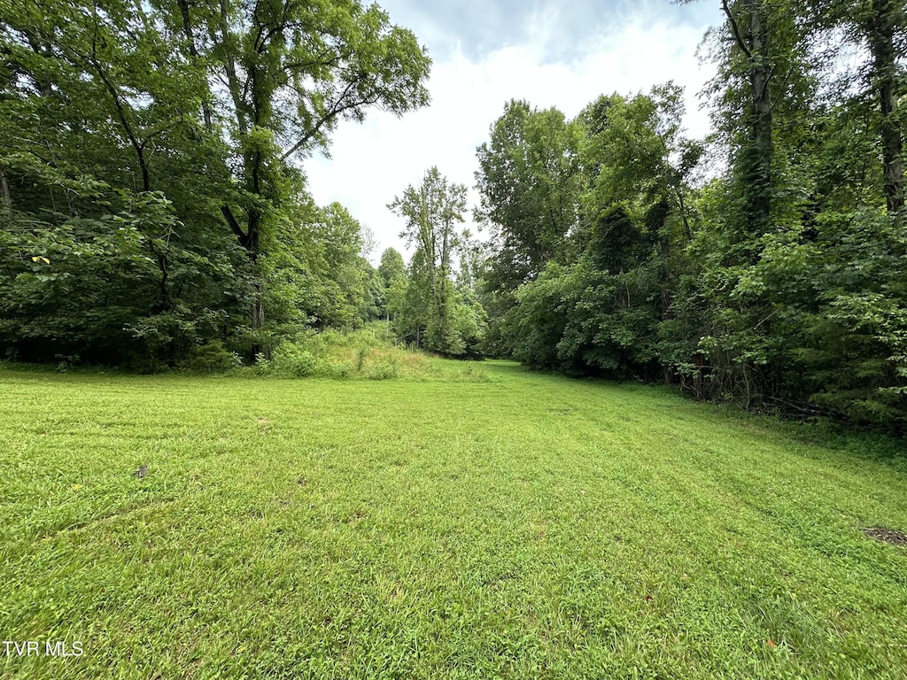 TBD Haw Ridge Rd, Piney Flats, TN 37686