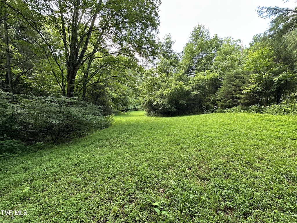 TBD Haw Ridge Rd, Piney Flats, TN 37686