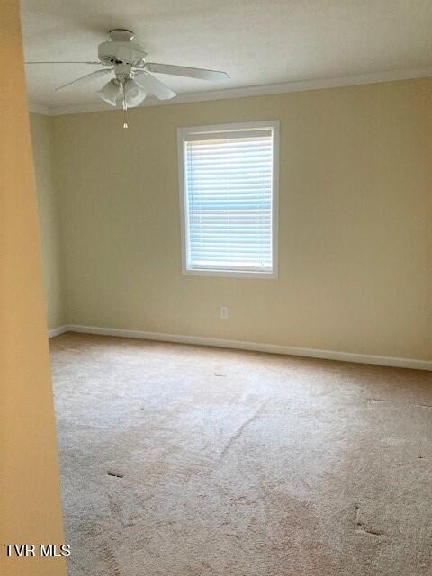 504 Pilgrim Ct Unit D, Johnson City, TN 37601 - photo 14
