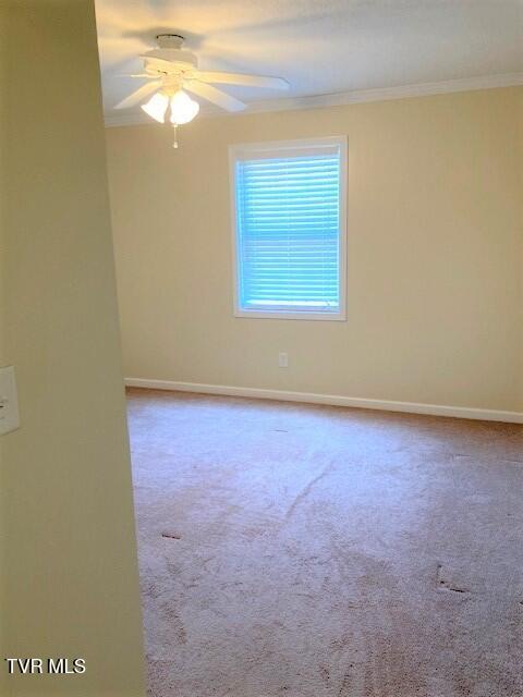 504 Pilgrim Ct Unit D, Johnson City, TN 37601 - photo 15