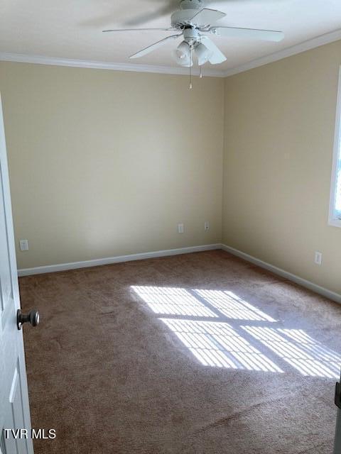 504 Pilgrim Ct Unit D, Johnson City, TN 37601 - photo 19
