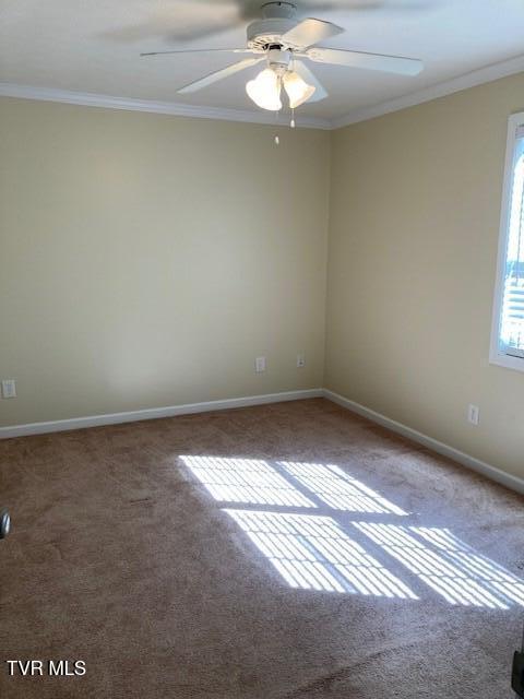 504 Pilgrim Ct Unit D, Johnson City, TN 37601 - photo 20