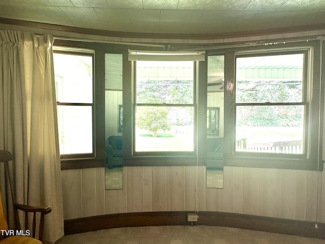 2065 Coeburn Rd, Clintwood, VA 24228 - empty room with healthy amount of natural light, wooden walls, and carpet floors