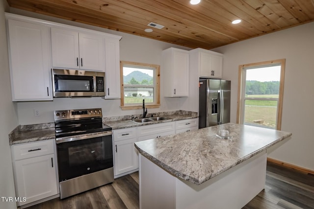 1976 Hartford Rd, Cosby, TN 37722 - kitchen with stainless steel appliances, wooden ceiling, recessed lighting, dark wood finished floors, and white cabinets