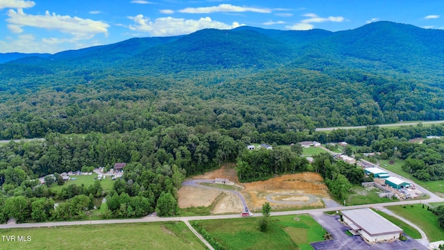 1976 Hartford Rd, Cosby, TN 37722 - bird's eye view of a mountainous background