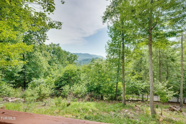 TBD Tank Rd, Butler, TN 37640 - photo 1