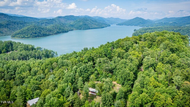 TBD Tank Rd, Butler, TN 37640 - photo 6