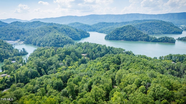 TBD Tank Rd, Butler, TN 37640 - photo 4
