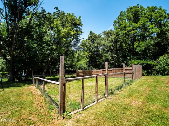 719 E Maple St, Johnson City, TN 37601 - view of yard