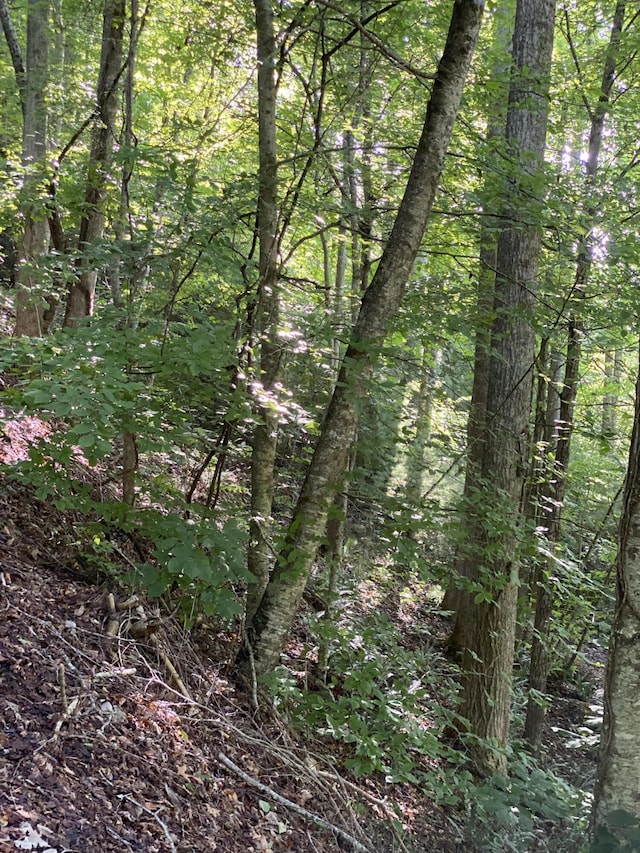 LOT16 Diamond Point Dr, Butler, TN 37640 - photo 6