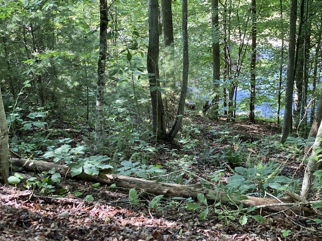 LOT16 Diamond Point Dr, Butler, TN 37640 - photo 7