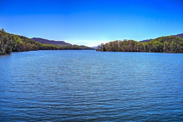 LOT16 Diamond Point Dr, Butler, TN 37640 - photo 9