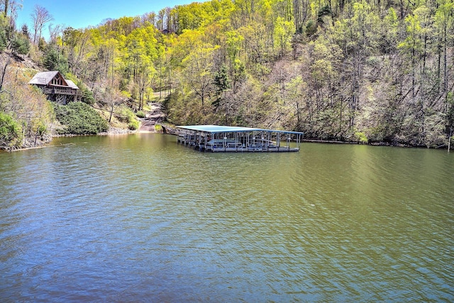 LOT16 Diamond Point Dr, Butler, TN 37640 - photo 10