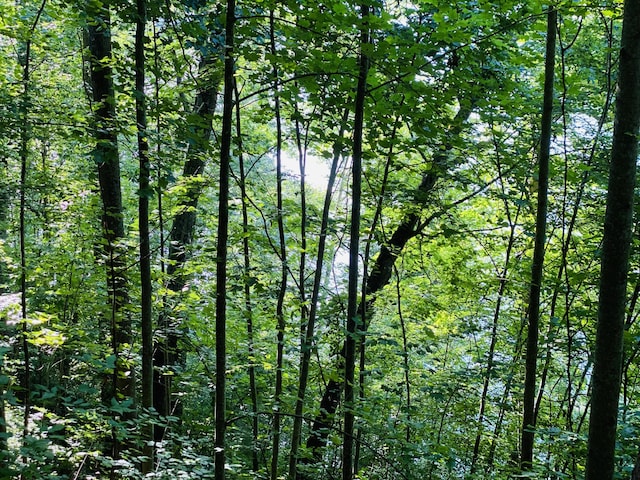 LOT16 Diamond Point Dr, Butler, TN 37640 - photo 11