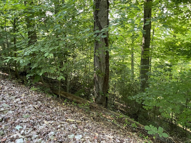 LOT16 Diamond Point Dr, Butler, TN 37640 - photo 14