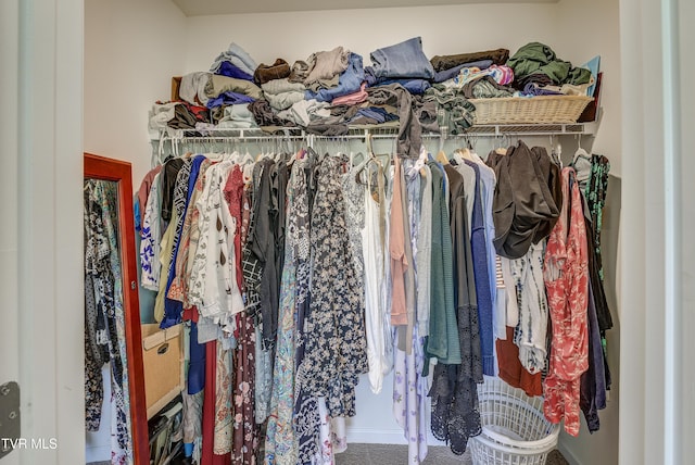 5402 Wildlife Cir, Piney Flats, TN 37686 - view of walk in closet