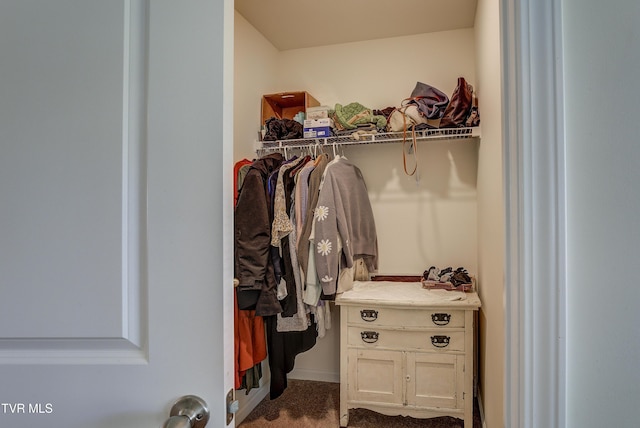 5402 Wildlife Cir, Piney Flats, TN 37686 - walk in closet featuring carpet flooring