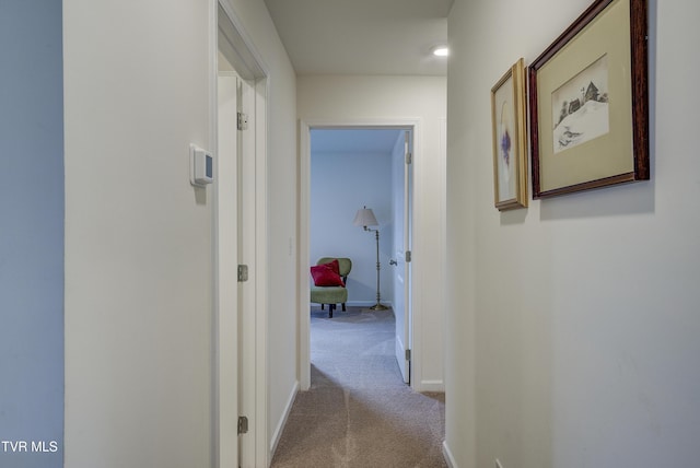 5402 Wildlife Cir, Piney Flats, TN 37686 - corridor with carpet and baseboards