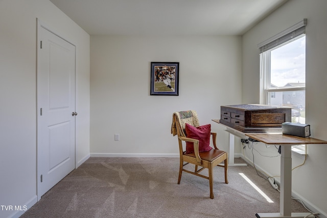 5402 Wildlife Cir, Piney Flats, TN 37686 - carpeted office space with baseboards