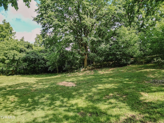 TBD Kidwell School Rd, Greeneville, TN 37745 - photo 5