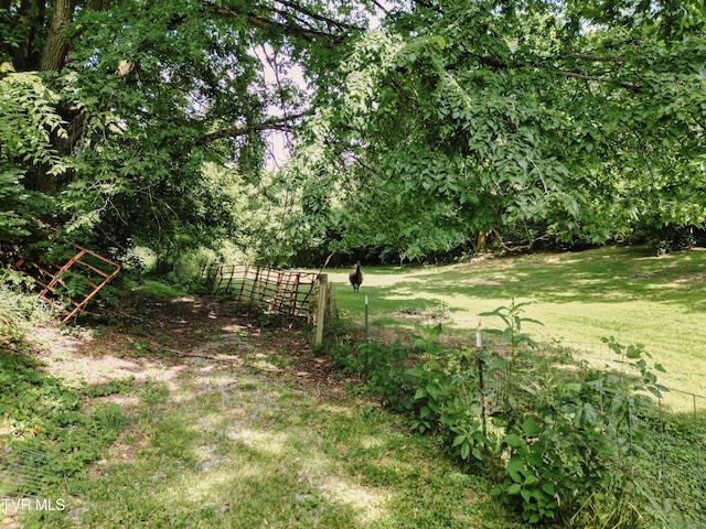 TBD Kidwell School Rd, Greeneville, TN 37745 - photo 9