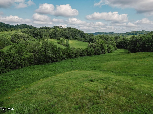 TBD Kidwell School Rd, Greeneville, TN 37745 - photo 6