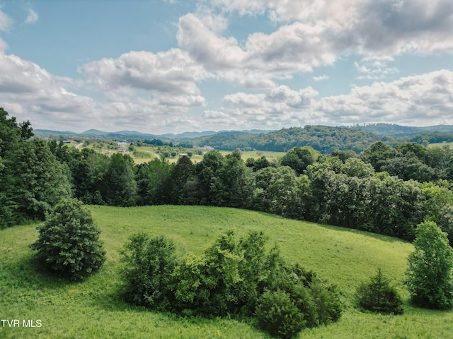 TBD Kidwell School Rd, Greeneville, TN 37745 - photo 7