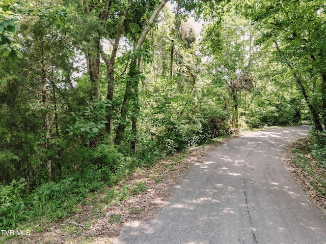TBD Kidwell School Rd, Greeneville, TN 37745 - photo 10