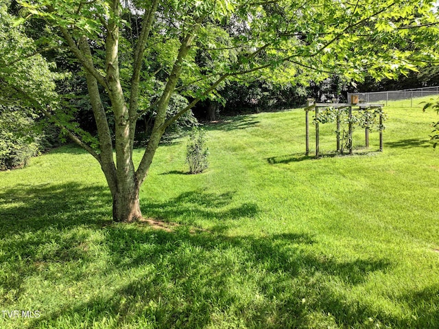 1260 Robinhood Rd, Greeneville, TN 37743 - photo 31