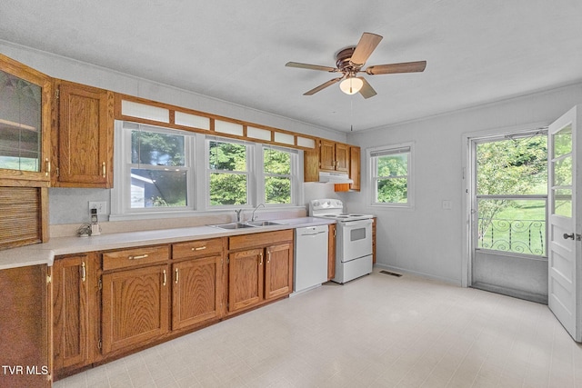 1260 Robinhood Rd, Greeneville, TN 37743 - photo 6