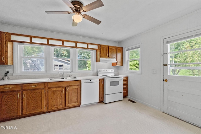 1260 Robinhood Rd, Greeneville, TN 37743 - photo 8