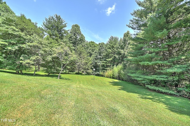 4700 Weaver Pike, Bluff City, TN 37618 - view of green lawn with a forest view
