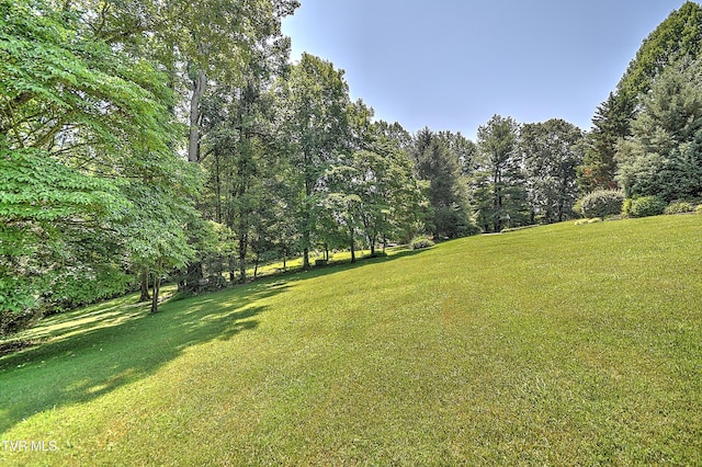 4700 Weaver Pike, Bluff City, TN 37618 - view of green lawn