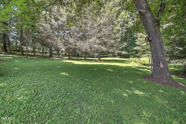4700 Weaver Pike, Bluff City, TN 37618 - view of green lawn