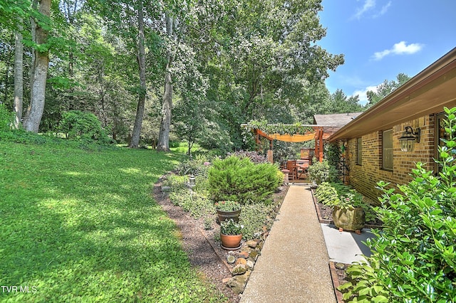 4700 Weaver Pike, Bluff City, TN 37618 - view of green lawn
