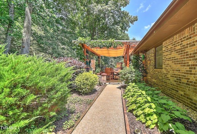 4700 Weaver Pike, Bluff City, TN 37618 - view of yard
